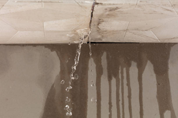 Professional Water Damage Repair technician working in Anahuac, TX